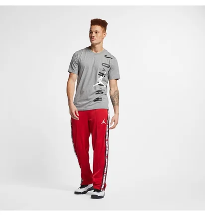 Футболка мужская Air Jordan Jumpman Graphic Grey Bv0086-091