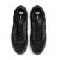 Кроссовки мужские Nike Ps8 Sb Black FV8493-001