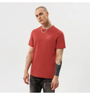Футболка чоловіча Air Jordan T-Shirt M J Flt Ess Jdn Air Gfx Crew Bordo DH8968-691