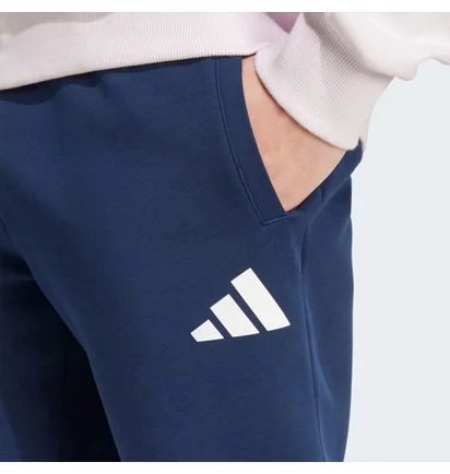 Штаны мужские Adidas Poland Future Icons Blue JF6683