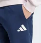 Штаны мужские Adidas Poland Future Icons Blue JF6683