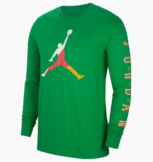 Лонгслив мужской Air Jordan Sport Dna MenS Long-Sleeve Crew Green CN3502-310