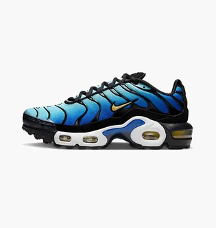 Кросівки дитячі Nike Air Max Plus Blue CD0609-032