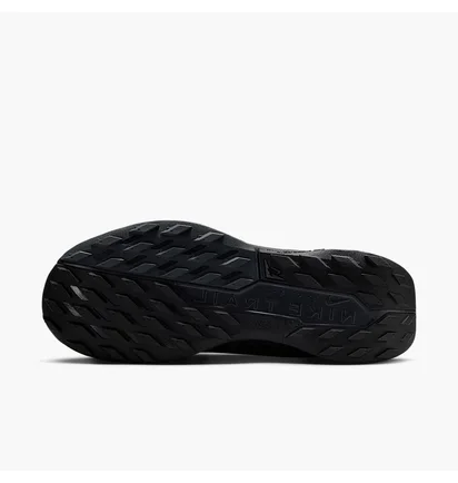 Кросівки унісекс Nike Pegasus Trail 5 Gore-Tex Black FQ0912-002