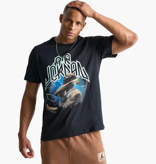 Футболка мужская Air Jordan Sport Dri-Fit Graphic T-Shirt Black FN6016-010