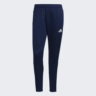 Штаны мужские Adidas Tiro21 Tr Pnt Blue Ge5427