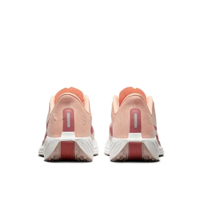 Кроссовки женские Nike Pegasus Plus Beige FQ7261-800