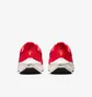 Кросівки чоловічі Nike Air Zoom Pegasus 39 Red Dh4071-600