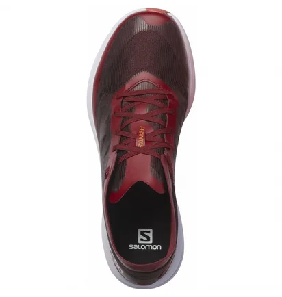 Кросівки чоловічі Salomon Phantasm Running Shoes Bordo L41610300