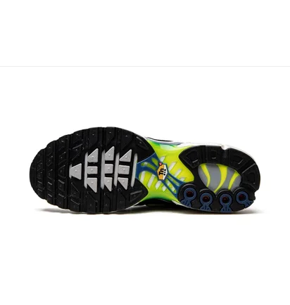 Кросівки чоловічі Nike Air Max Plus Blue DM0032-400
