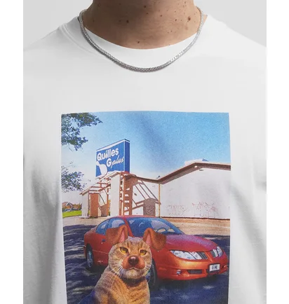 Футболка чоловіча Dime Selfie Tee White DIMESP2558WHT