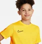 Футболка детская Nike Dri-Fit Academy 23 Yellow DR1343-719