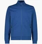 Олимпийка мужская CMP Stretch Brushed Fleece Blue 31D4307-N825