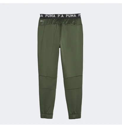 Штаны мужские Puma Train Pwr Fleece Jogger Green 520894-31