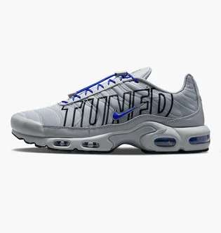 Кросівки чоловічі Nike Air Max Plus Grey IH4459-025