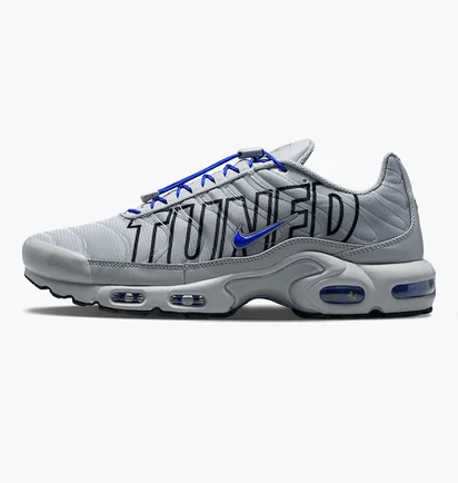 Кросівки чоловічі Nike Air Max Plus Grey IH4459-025