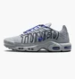Кросівки чоловічі Nike Air Max Plus Grey IH4459-025