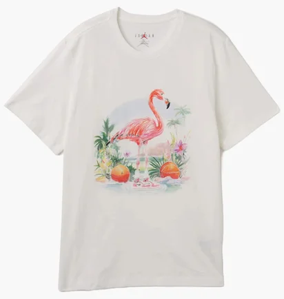 Футболка мужская Air Jordan Ess Flamingo Ss Crew White HJ2399-100