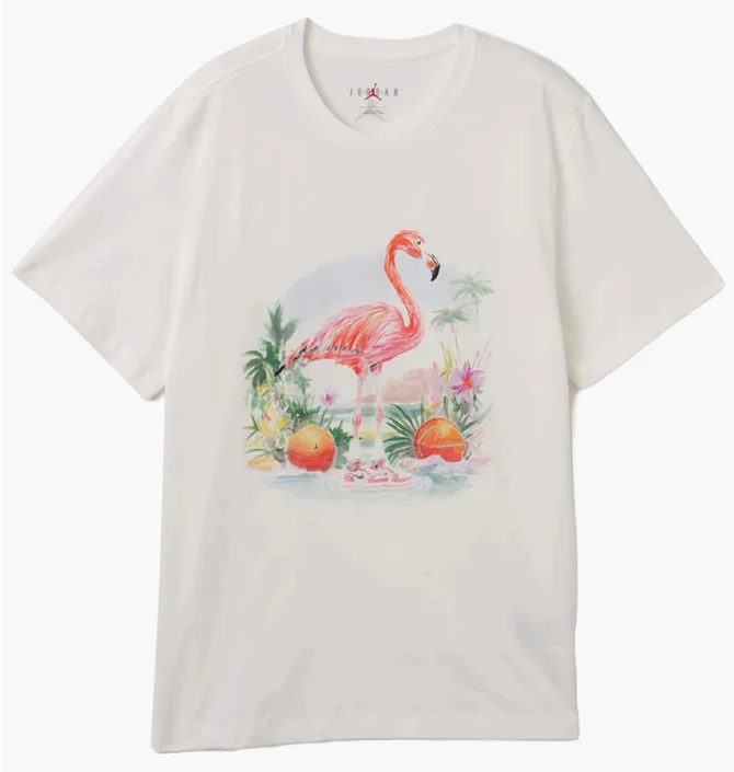Футболка мужская Air Jordan Ess Flamingo Ss Crew White HJ2399-100