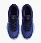 Кросівки чоловічі Nike Gt Hustle Academy Blue FJ7791-401