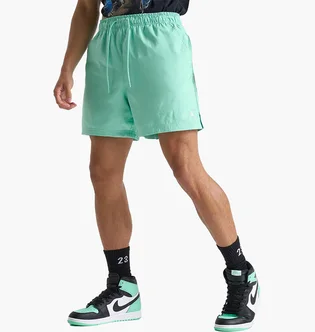 Шорти чоловічі Air Jordan Essentials 5 Poolside Shorts Turquoise FQ4562-349