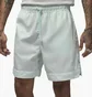 Шорты мужские Air Jordan Essentials Diamond Green FN6515-394