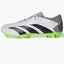 Бутси жіночі Adidas Predator Accuracy.3 L Fg White/Grey GZ0014