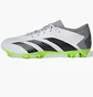 Бутсы женские Adidas Predator Accuracy.3 L Fg White/Grey GZ0014