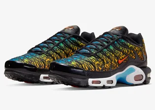 Кроссовки мужские Nike Air Max Plus Multi DX2665-001