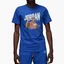 Футболка мужская Air Jordan Flight Mvp Blue Dv8434-480