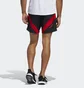 Шорты мужские Adidas Own The Run Valentine Shorts Black FI0652