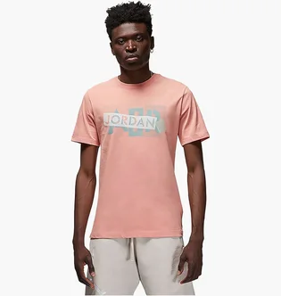 Футболка мужская Air Jordan Brand Graphic Beige DM1426-824