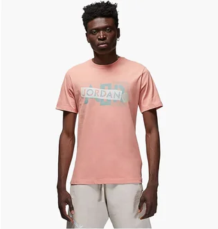 Футболка мужская Air Jordan Brand Graphic Beige DM1426-824