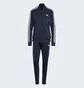 Спортивний костюм жіночий Adidas Essentials 3-Stripes Blue IJ8782