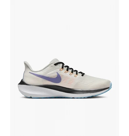 Кросівки жіночі Nike Pegasus 39 White Dh4072-006