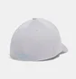 Кепка мужская Under Armour Blitzing Low Str Grey 1376700-011