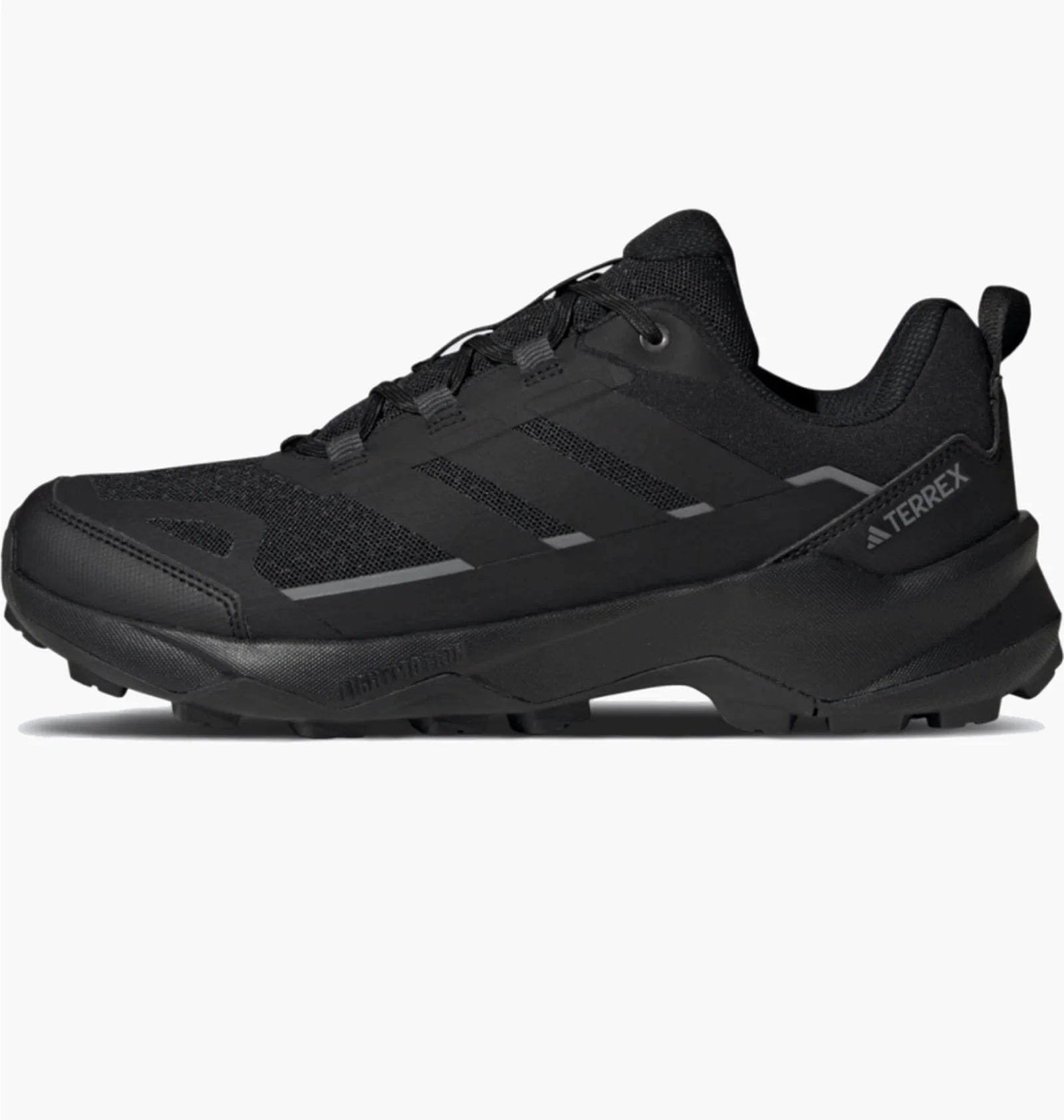 ᐉ Кросівки чоловічі Adidas Terrex Skychaser Ax5 Gore-Tex Black