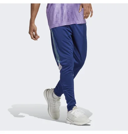 Штани чоловічі Adidas Tiro Pants Blue Hs7489