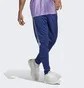 Штани чоловічі Adidas Tiro Pants Blue Hs7489
