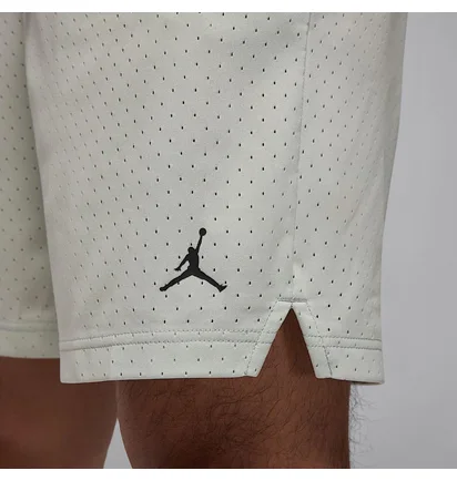 Шорти чоловічі Air jordan Df Sprt Mesh Grey FN5816-034