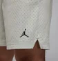 Шорти чоловічі Air jordan Df Sprt Mesh Grey FN5816-034