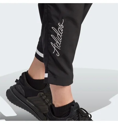 Штаны мужские Adidas Scribble Black IJ6444