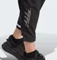 Штаны мужские Adidas Scribble Black IJ6444