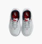 Кроссовки детские Nike Force 1 Low Lv8 Easyon Grey FV7856-001