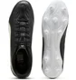 Бутси чоловічі Puma King 20 Play Fg/Ag Black 108732-02