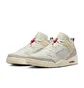 Кросівки чоловічі Air Jordan Spizike Low Beige FQ1759-100