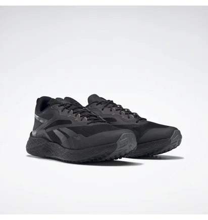 Кросівки чоловічі Reebok Floatride Energy 3.0 Adventure Black G58173