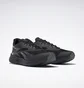 Кросівки чоловічі Reebok Floatride Energy 3.0 Adventure Black G58173