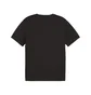 Футболка чоловіча Puma Teamgoal Casuals T-Shirt Black 658615-03