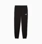 Спортивный костюм мужской Puma Essentials No. 1 Logo Black 682570-01__682606-01